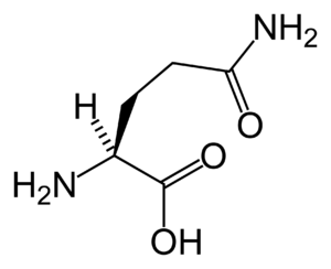 glutamin