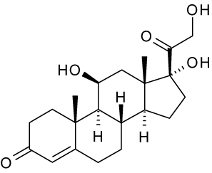 kortizol