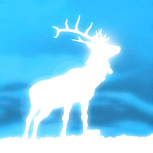 patronus