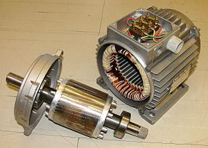 Stator