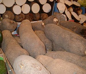 Yam