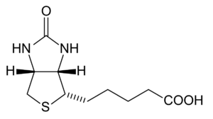 biyotin